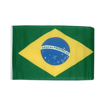Brasilien Flagge 30x40